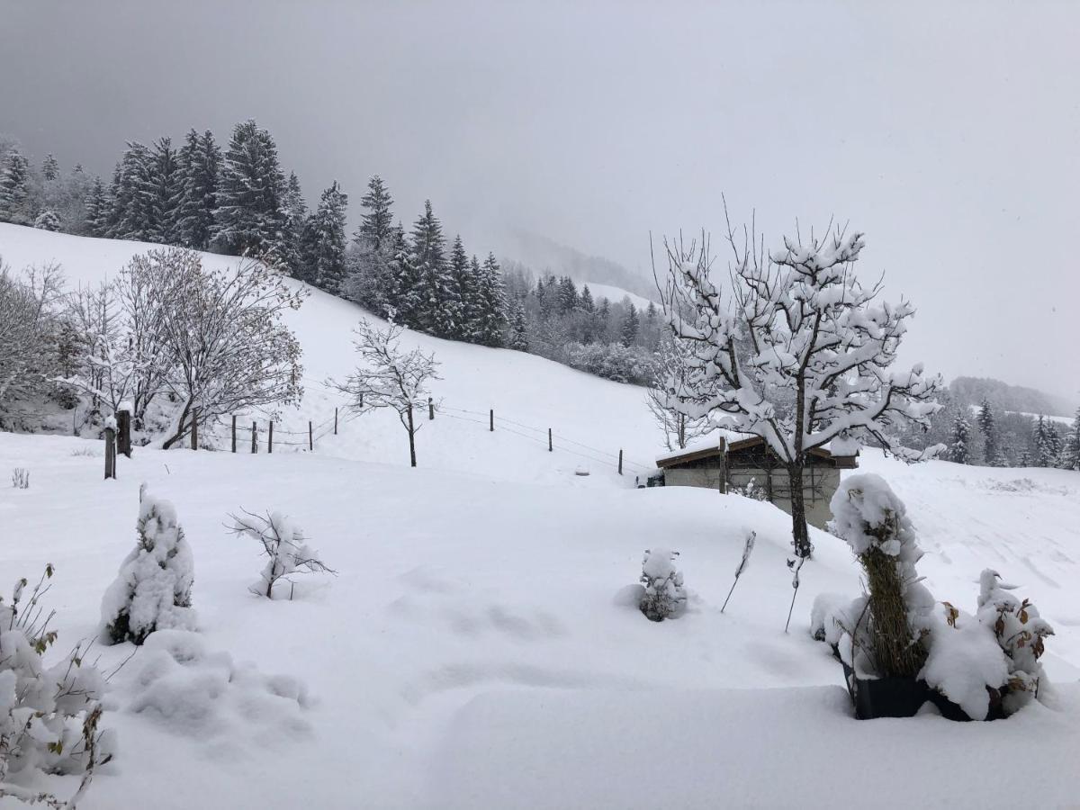 Haus Baumoos